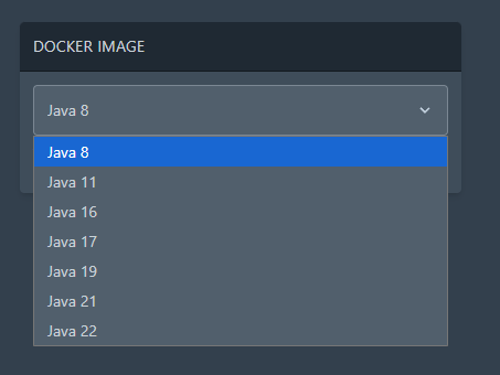 Java Server Docker Selection