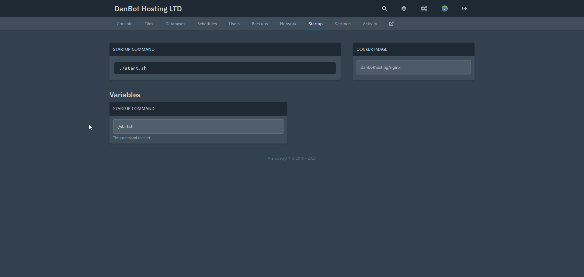Nginx Server Startup Section
